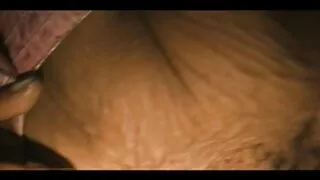 une fille asiatique au tempérament chaud avale ardemment la douce bite de film amateur de sexe son mec