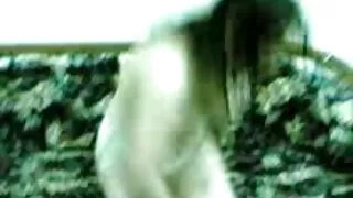 La coquine latine Foxy fait une pipe magique à son petit film amateur x gratuit ami fiévreux