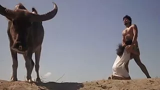 dawg noir affamé mange le chaton doux et humide de cette fille chaude aux cheveux noirs video amatzur